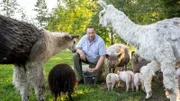 Ludger Bremehr wird auf der Weide umringt von Alpakas und Schweinen.
