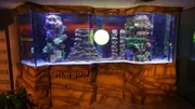6,800-liter fish tank with an artificial rock landscape.