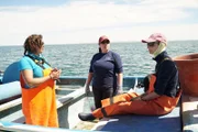 Das wissenschaftliche Team bereitet sich auf den Fang von Weißen Haibabys vor.