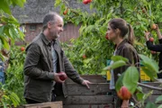 Oskar Schütz (Marek Erhardt, l.) unterstützt seine Freundin Bente Jansen (Judith Döker, r.) selbstverständlich bei der Apfelernte.