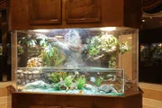 Medium shot of Dwight's finished tank in his living room.