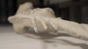 Die weißen Nasca-Mumien haben an Händen und Füßen jeweils nur drei Finger und Zehen.