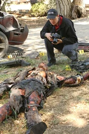 McGee (Sean Murray) fotografiert die grauenvoll entstellte Leiche des Opfers eines Bombenanschlags. Handelt es sich bei dem Toten tatsächlich um einen alten Freund von Doc Mallard aus der Schulzeit?