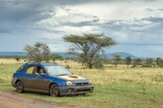 Top Gear Africa Special Part 2 (Episode 7) Picture Shows: Richard Hammond in his Subaru Impreza WRX estate in the Serengeti.Top Gear Africa Special Part 2 (Episode 7) Picture Shows: Richard Hammond in his Subaru Impreza WRX estate in the Serengeti.