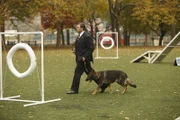 Frank (Tom Selleck) wird von dem aggressiven Verhalten eines Polizeihundes berichtet. Da das Tier jedoch bis jetzt ausgezeichnete Arbeit geleistet hat, will er der Sache auf den Grund gehen ...