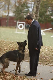 Einer der besten Polizeihunde der K-9-Einheit hat einen Jungen angegriffen. Frank (Tom Selleck) zweifelt jedoch an der Schuld des Hundes und kümmert sich persönlich um den Fall ...