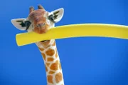 Die kleine Giraffe versucht alles, um im Freibad nicht für die Schule lernen zu müssen.
