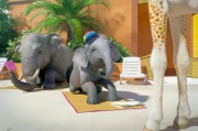 Das Elefantenjunge wird streng von seiner Mutter überwacht ...