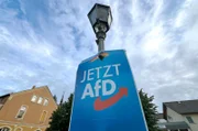 In diesem Jahr könnte die AfD stärkste Partei in Brandenburg werden, zehn Jahre nachdem ihr bundesweiter Aufstieg bei Kommunal- und Landtagswahlen begann. rbb-Reporter Olaf Sundermeyer sucht in Südbrandenburg Antworten auf die Frage, was die Partei hier so stark macht. Dafür beobachtet er den Kommunalwahlkampf in Golßen, einer Kleinstadt in der Niederlausitz. - AfD-Wahlplakat in Golßen.