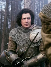 Wird in einen Sumpf aus Intrigen und Lügen gezogen: Richard, Duke of Gloucester (Aneurin Barnard) ...