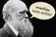 Für Charles Darwin war die emotionale Träne „zwecklos“: ohne evolutionären Wert. Aber wie kann das sein?