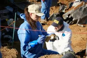REENACTMENT - NTSB Investigators  (played by background performers) recover wreckage from the impact crater of the plane crash that killed world famous golfer Payne Stewart. (Photo Credit: Cineflix/Ian Watson)