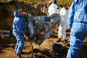 REENACTMENT - Two NTSB Investigators played by background performers) pull a massive piece of wreckage from the impact crater of the plane crash that killed world famous golfer Payne Stewart. (Photo Credit: Cineflix/Ian Watson)