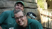 Klein und neugierig: Ein Papageientaucher ist zutraulicher als es Dave Nelde und Sebastian Behrends für richtig halten.