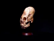 Geheimnisvoller Artefakt - Schädel