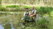 Für Pia und Ranger Alex geht es ins Wasser. Sie sind auf Amphibien-Suche und kontrollieren Reusen, die zum Monitoring verwendet werden.