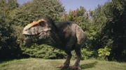 Tyrannosaurus Rex - die Ikone einer schrecklichen Echse. Auch ihn sollten wir uns heute nicht mehr ohne Federn vorstellen, sagen die Forscher.