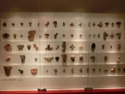 Die archäologischen Funde.