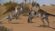 Velociraptoren - die Stars aus dem Film "Jurassic Park" sind nach neuester Erkenntnis nicht ohne Gefieder vorstellbar.