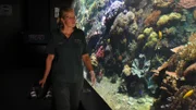 Die Fütterung der verschiedensten Tiere gehört zu Karolin Kietz täglichen Aufgaben.