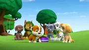 L-R: Zuma, Chase, Rubble, Rocky, Marshall, Skye