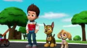 L-R: Ryder, Chase, Skye