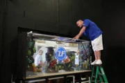 Wayde fills the tank with water.