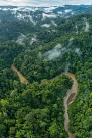 Borneo.