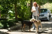 Tia introduces dogs at a second meet and greet.