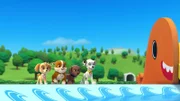 L-R: Skye, Rubble, Zuma, Marshall