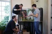 Dr. Oz's son Oliver is helping Wayde put gravel in the tank.