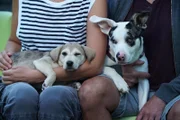 Iceland chills out in Jaime’s lap while Jonathan holds Oink.