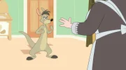 Kangeroo