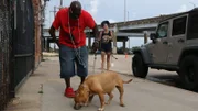 Earl and Tania with Melfi outside of rescue.