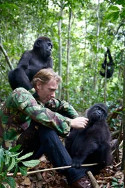 Damian Aspinall mit Gorilla