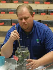 Collections Manager Kevin Torregrosa feeding one of the confiscated venomous snakes in quarantine.