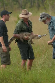 Damo hält ein Krokodil mit abgeklebtem Maul. Matt (l.) und Charlie (r.) schauen zu.