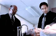 David Duchovny