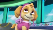 Skye