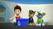 L-R: Ryder, Chase, Rocky.