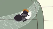 Spinne