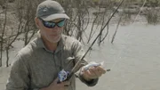Jeremy Wade