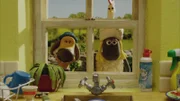 Wo ist nur Shauns Fellhütchen?
