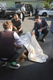 Ein neuer Fall beschäftigt Hotch (Thomas Gibson, r.), Reid (Matthew Gray Gubler, l.) und Morgan (Shemar Moore, M.) ...