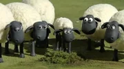 Mahlzeit! Schon wieder Grünzeug. Wie wäre es heute mal mit Abwechslung?
