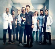 (3. Staffel) - (v.l.n.r.) Dr. Barret Cain (Morris Chestnut); Dr. Mina Okafor (Shaunette Renée Wilson); Dr. Randolph Bell (Bruce Greenwood); Nicolette Nevin (Emily VanCamp); Dr. Conrad Hawkins (Matt Czuchry); Dr. Kit Voss (Jane Leeves); AJ Austin (Malcolm-Jamal Warner); Dr. Devon Pravesh (Manish Dayal)