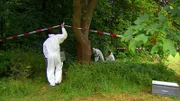 Nachdem in einem Waldstück Tüten mit Leichenteilen entdeckt wurden, untersuchen die Ermittler den Fundort.