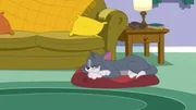 Tom