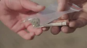 "Kohle gegen Gras" - in Zukunft kein Schwarzmarkthandel mehr? Stattdessen könnte es die Droge aus staatlich reglementiertem Anbau geben. Der Plan: Die Legalisierung von Cannabis soll den Schwarzmarkt austrocknen.