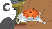 v.li.: Panda Bear, Captain Craboo